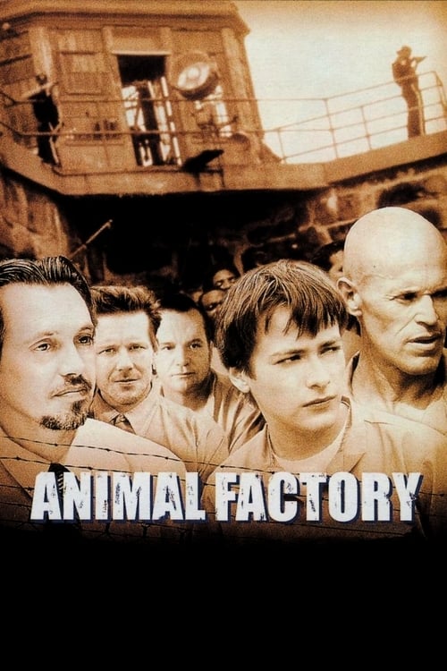 Animal Factory