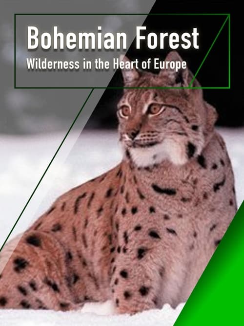 The Bohemian Forest - Wilderness in the Heart of Europe