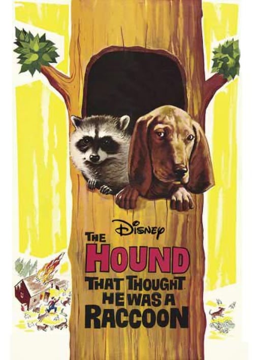 The Hound That Thought He Was a Raccoon