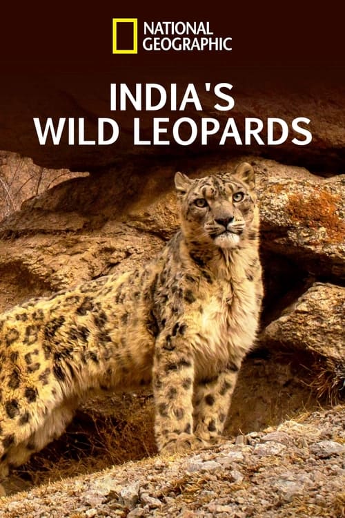 India's Wild Leopards