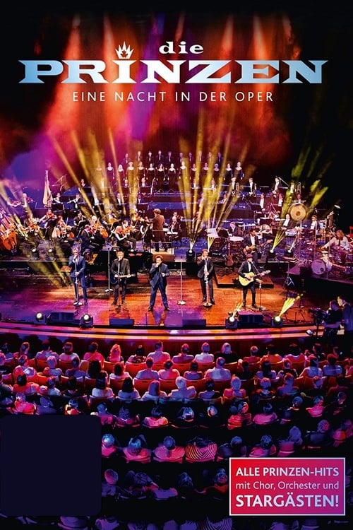 Die Prinzen - Eine Nacht in der Oper