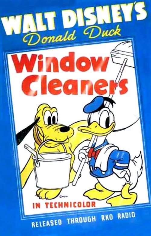 Window Cleaners