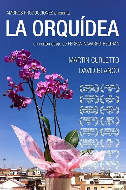 La Orquídea