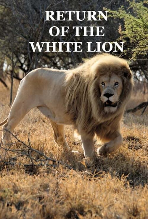 Return of the White Lion