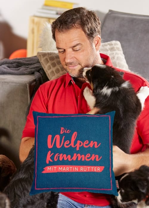 Martin Rütter – Die Welpen kommen