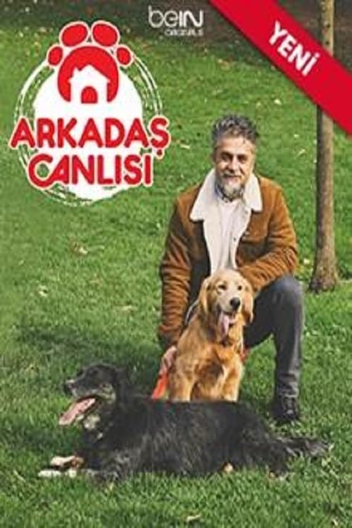 Arkadaş Canlısı