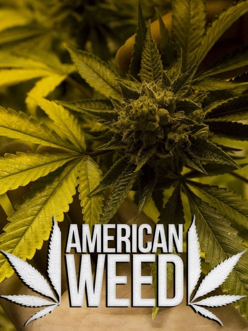 American Weed