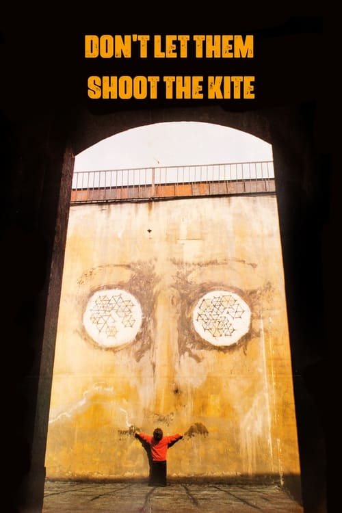 Don't Let Them Shoot the Kite