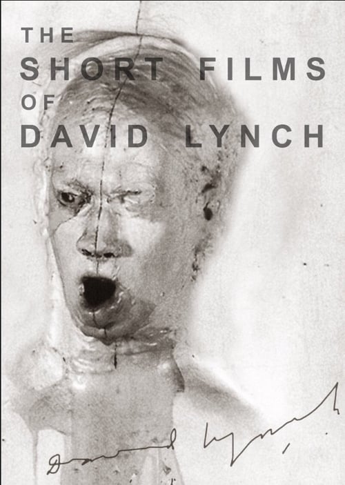 The Short Films of David Lynch