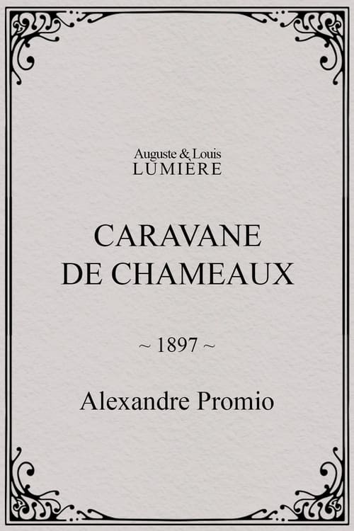 Caravane de chameaux