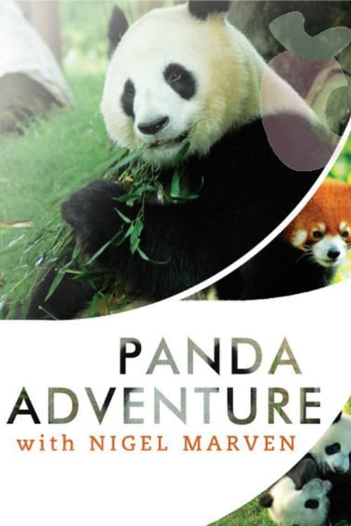 Panda Adventure with Nigel Marven