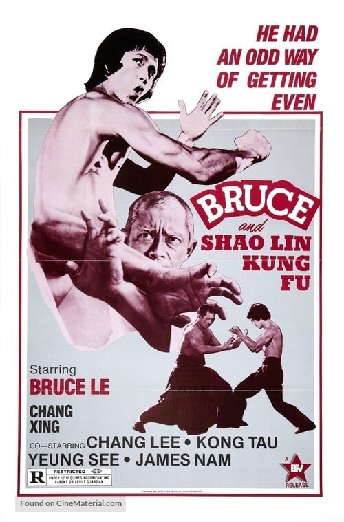 Bruce and Shaolin Kung Fu