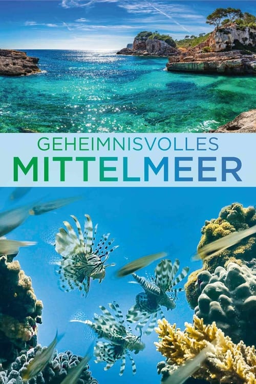 Erlebnis Erde: Geheimnisvolles Mittelmeer - Von Pottwalen und Wüstenfüchsen