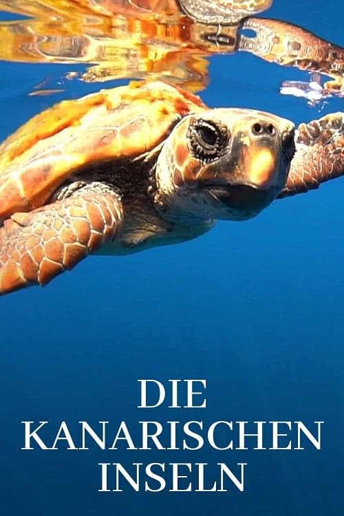 Die Kanarischen Inseln